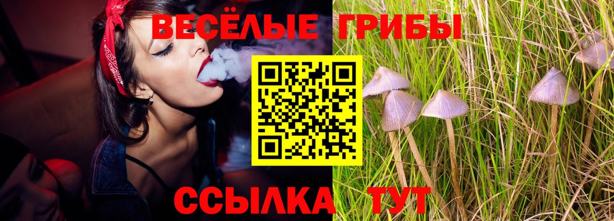 Галлюциногенные грибы GOLDEN TEACHER Похвистнево