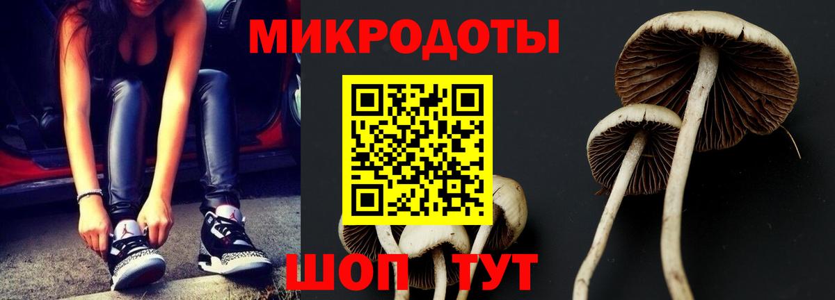 Псилоцибиновые грибы Psilocybe  Вход с VPN  Похвистнево 
